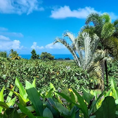 Gwadakaz Villa Sainte-Rose Bagian luar foto