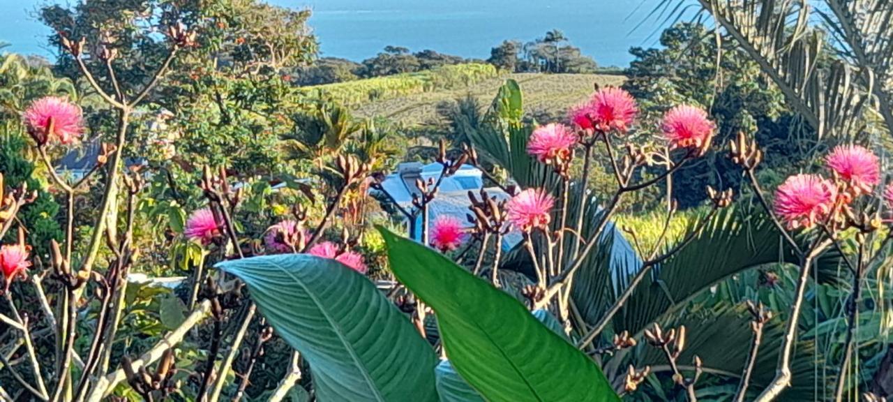 Gwadakaz Villa Sainte-Rose Bagian luar foto