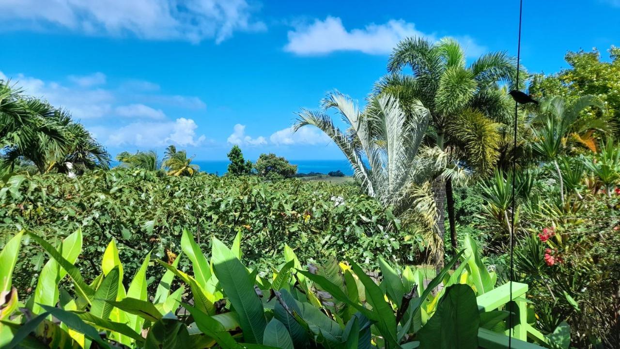 Gwadakaz Villa Sainte-Rose Bagian luar foto